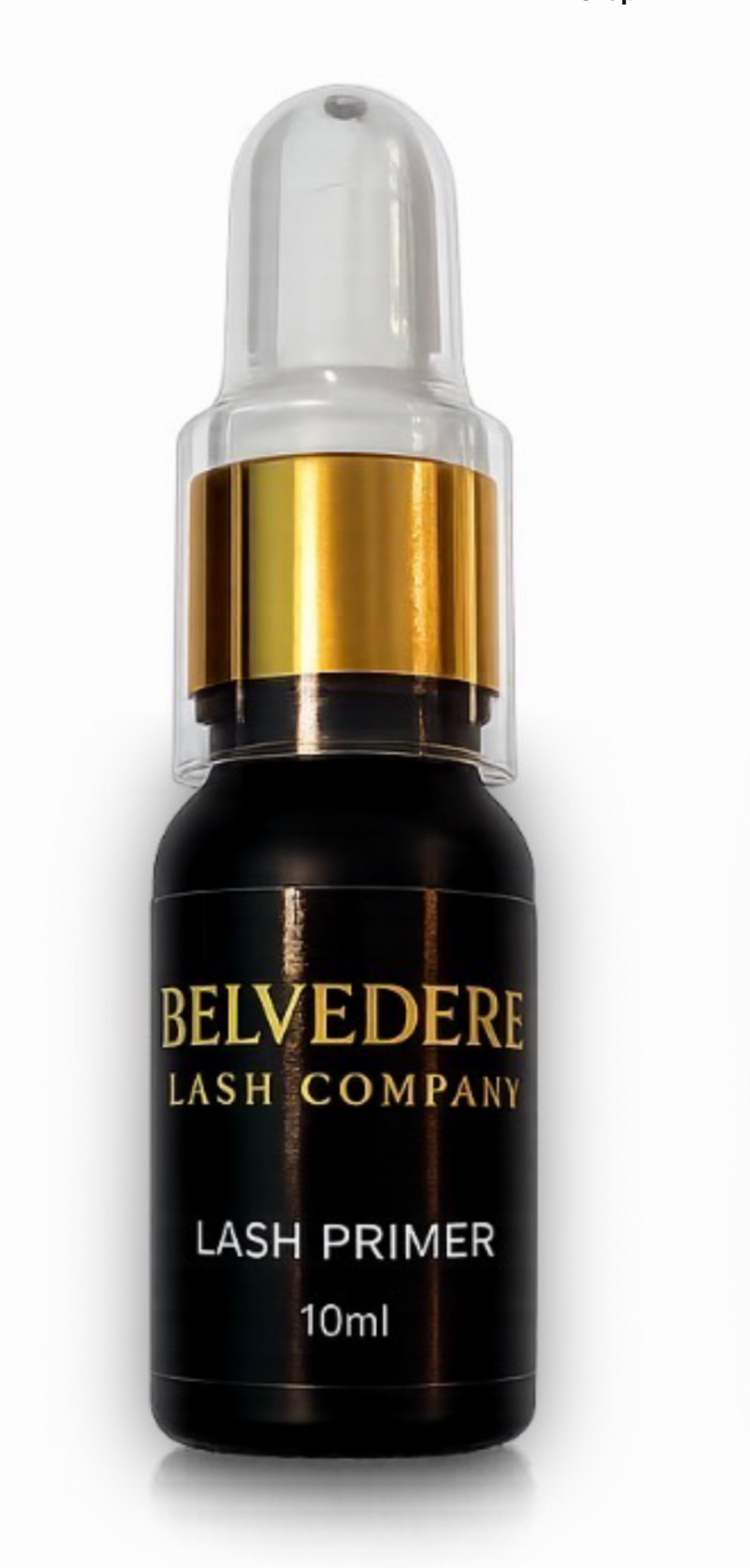 Belvedere Primer